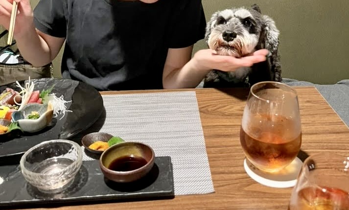 犬
